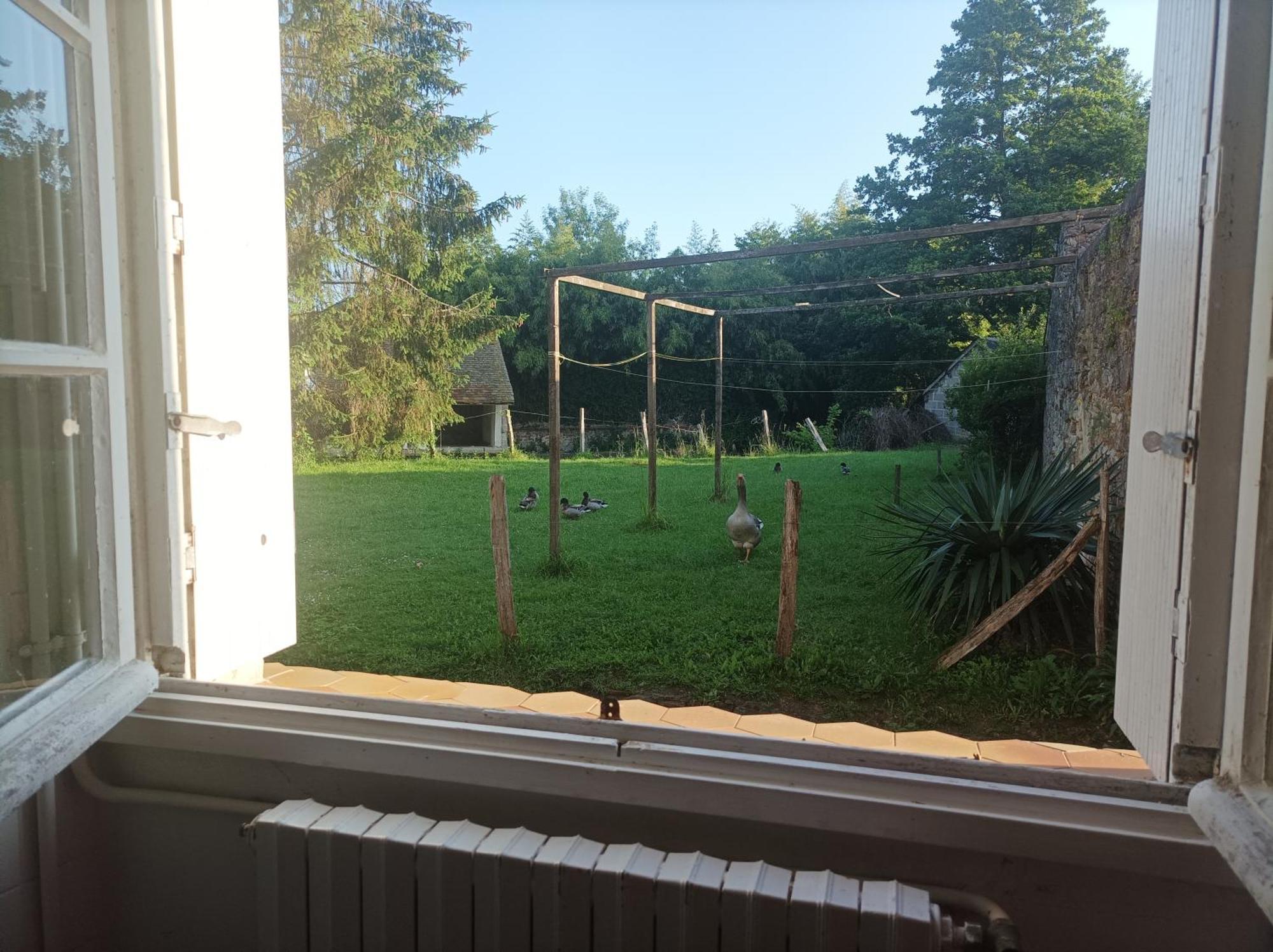 La Maison Au Bord De L'Eau Gracay 外观 照片